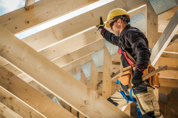 Best Roof Gutter Cleaning  in Lakeview, GA