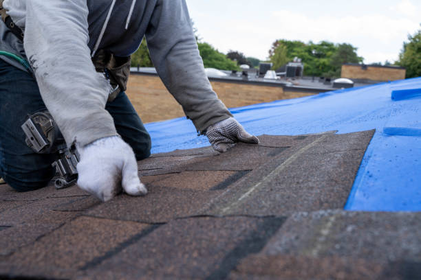 Professional Roofing Contractor in Lakeview, GA