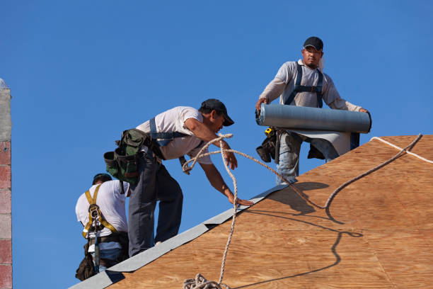 Best Metal Roofing Contractor  in Lakeview, GA